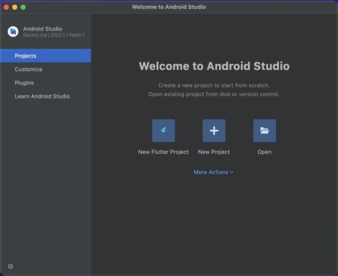 android studio new flutter project.